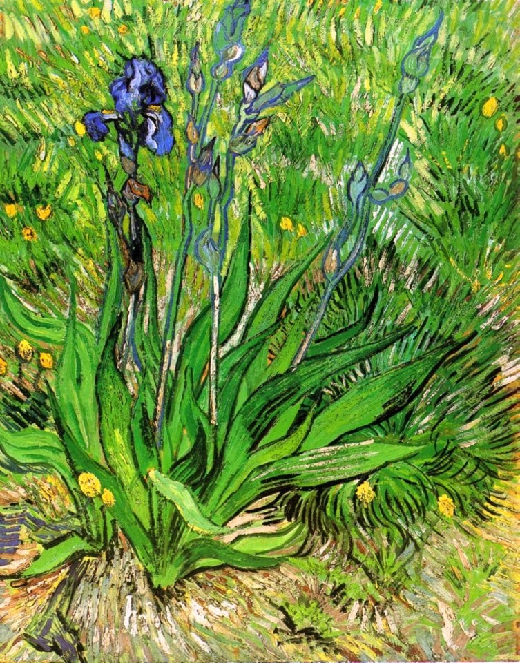 Vincent+Van+Gogh-1853-1890 (625).jpg